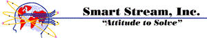 Smart stream Inc