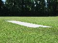 Pitch