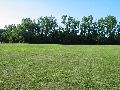 Ground view