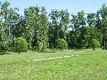 Ground view