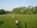 grounds in action