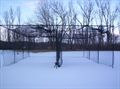 Nets in the winter