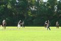 DSC04753.JPG