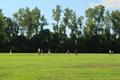 DSC04754.JPG